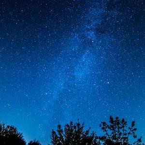 日本の豊満な肉弾在线
